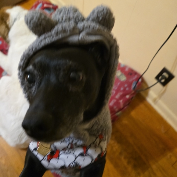 Not For Sale - Picture 2 of 2